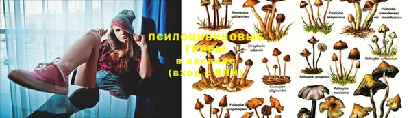 мескалин Каменногорск