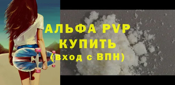 мяу мяу мука Иннополис