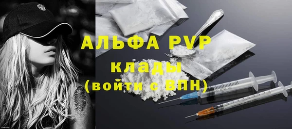 мяу мяу мука Иннополис