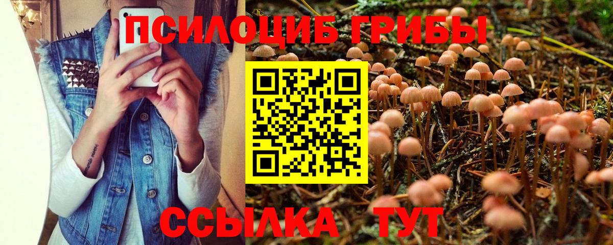 Галлюциногенные грибы GOLDEN TEACHER Южноуральск